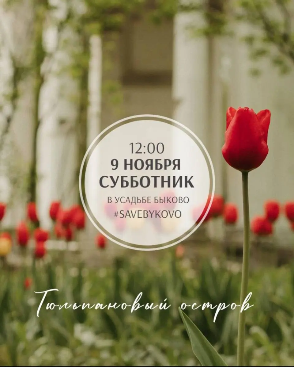 Субботник "Тюльпановый остров" в усадьбе Быково