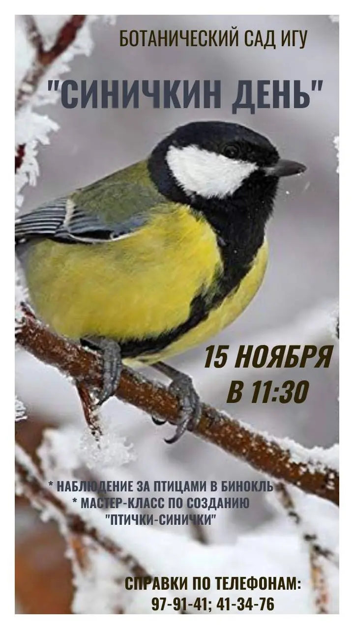 Синичкин день