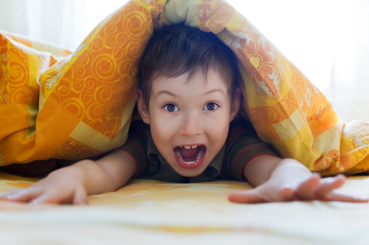 Программа для детей 8-12 лет Art Excel