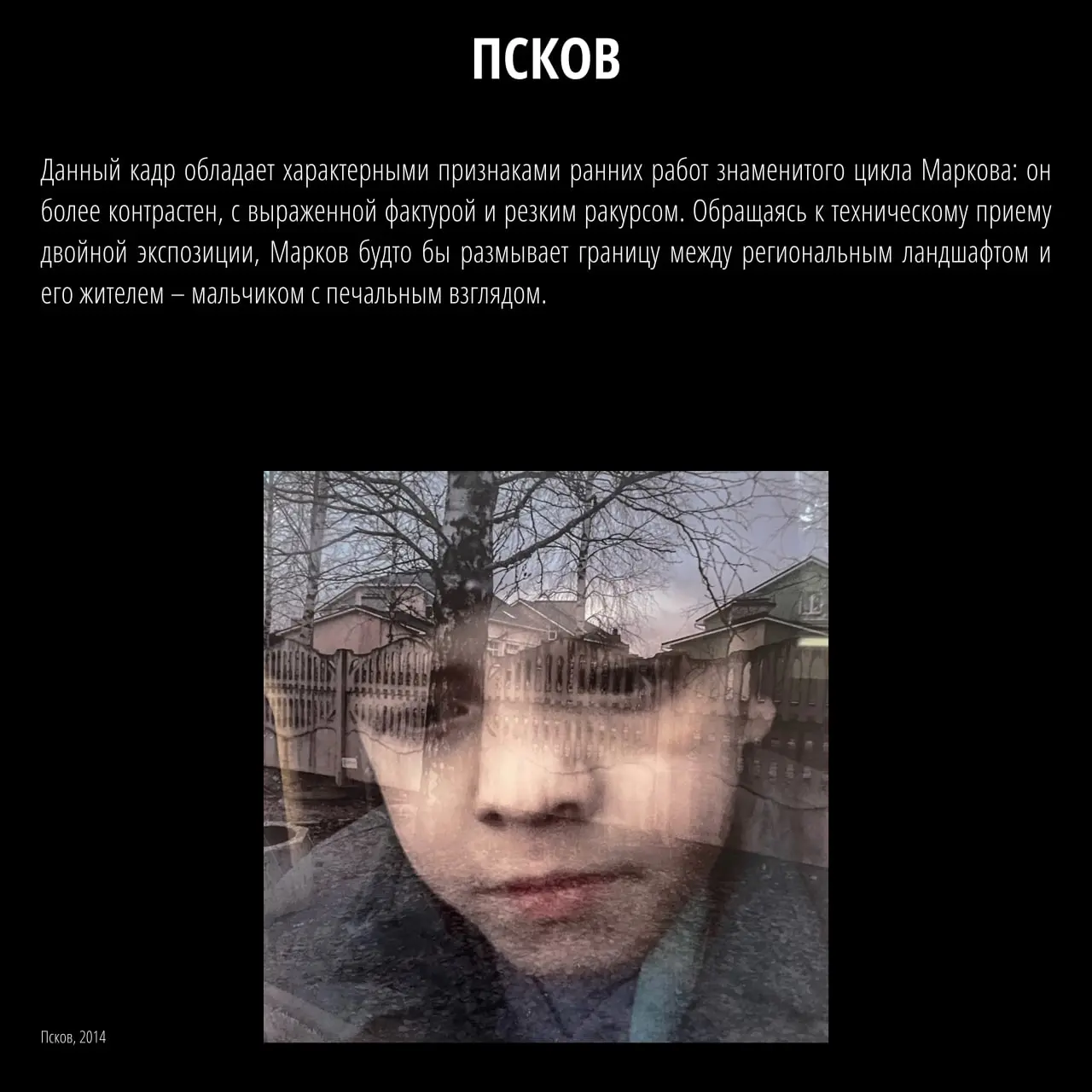 Выставка фотографий Дмитрия Маркова