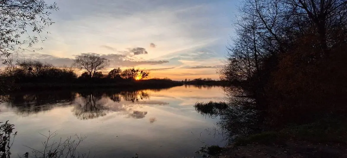 Увлекательное путешествие с ездовыми хаски