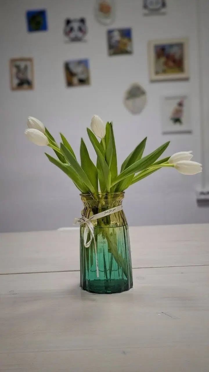 Расписание занятий по абонементам и мастер-классам (ноябрь)