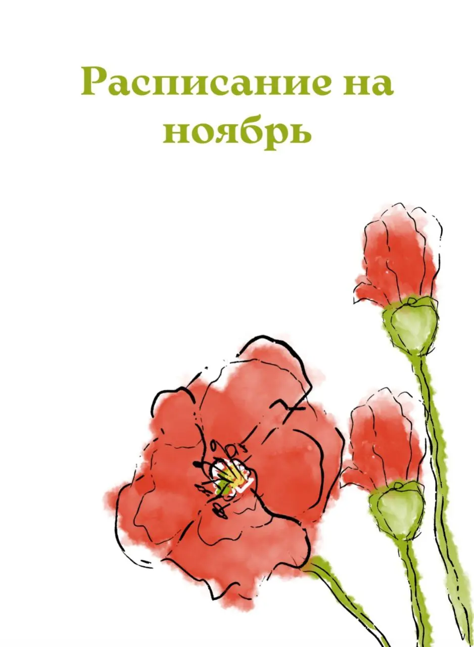 Расписание занятий по абонементам и мастер-классам (ноябрь)