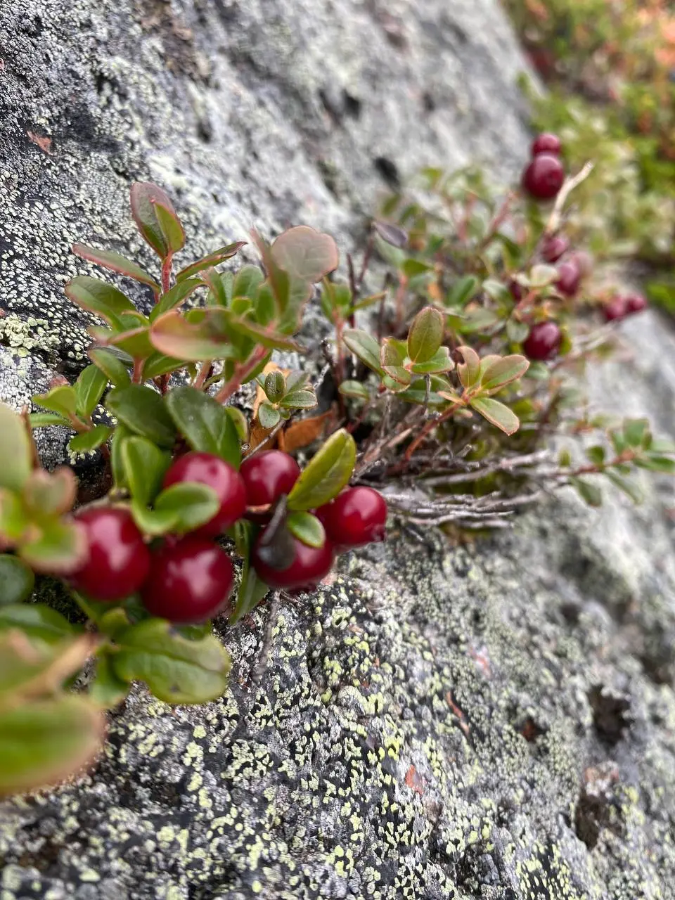 НОВОСТЬ 3️⃣ - не менее радостная, чем первые две 🥰👇🏻