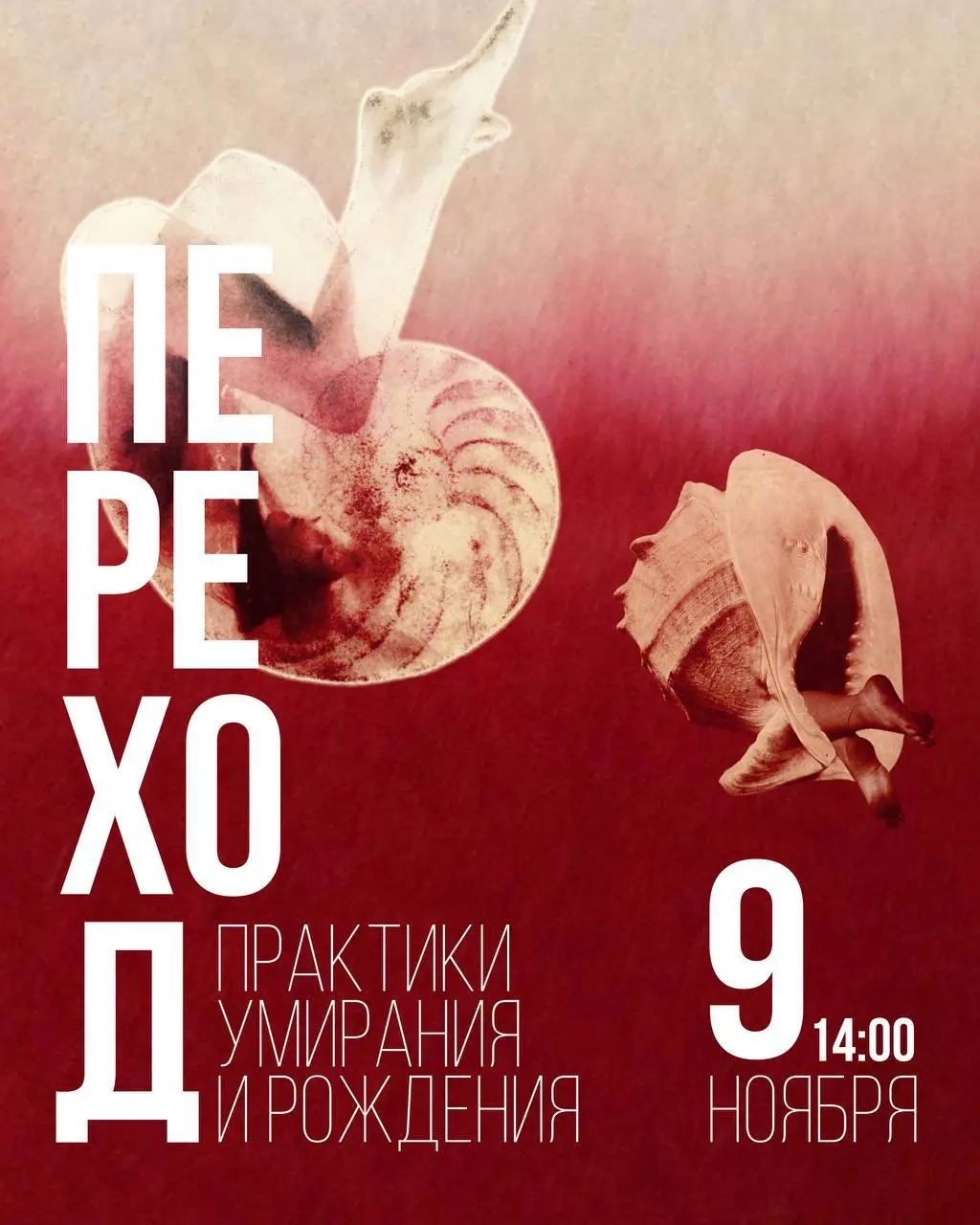 Авторский тренинг Евгении Пошивач в трансперсональном и бодинамическом подходах «Переход: практики умирания и рождения»