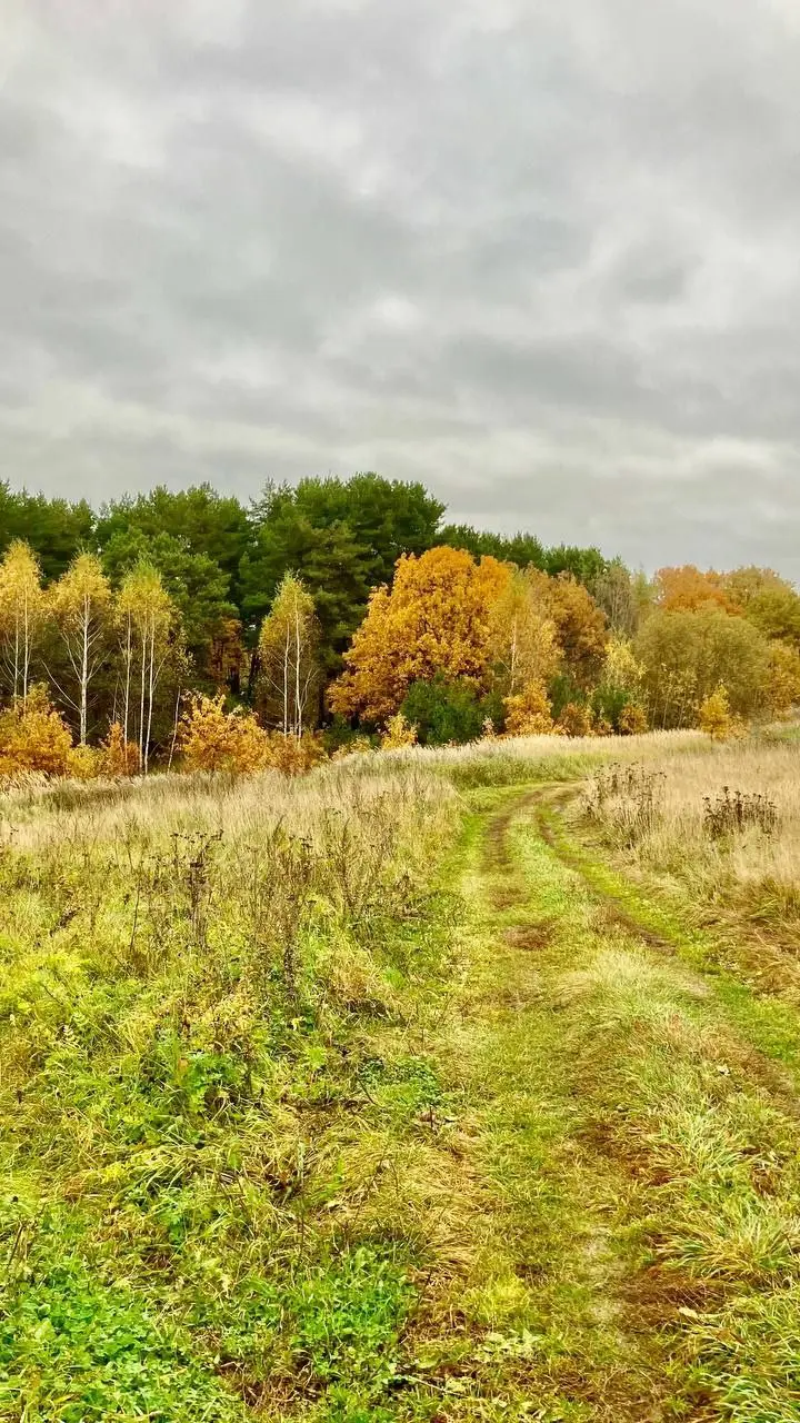 Земля дворянских лошадей поход