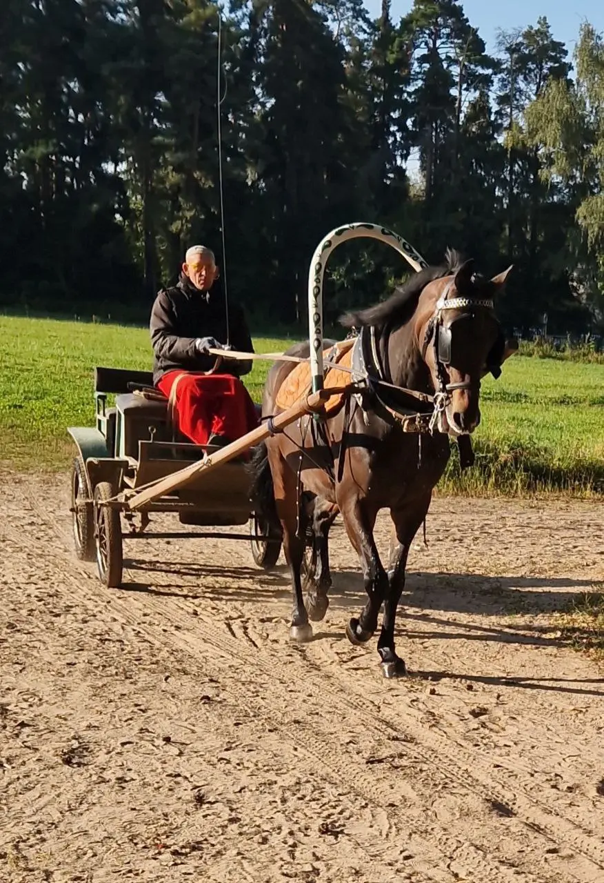 Земля дворянских лошадей поход