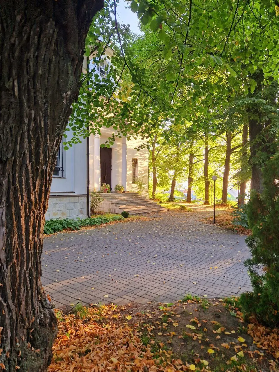 Земля дворянских лошадей поход