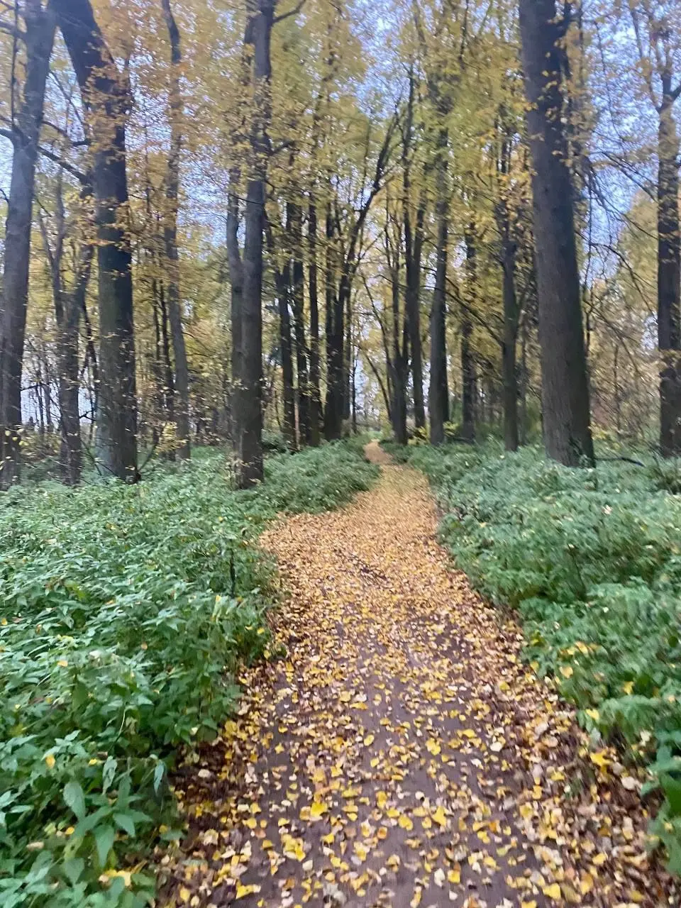 Земля дворянских лошадей поход