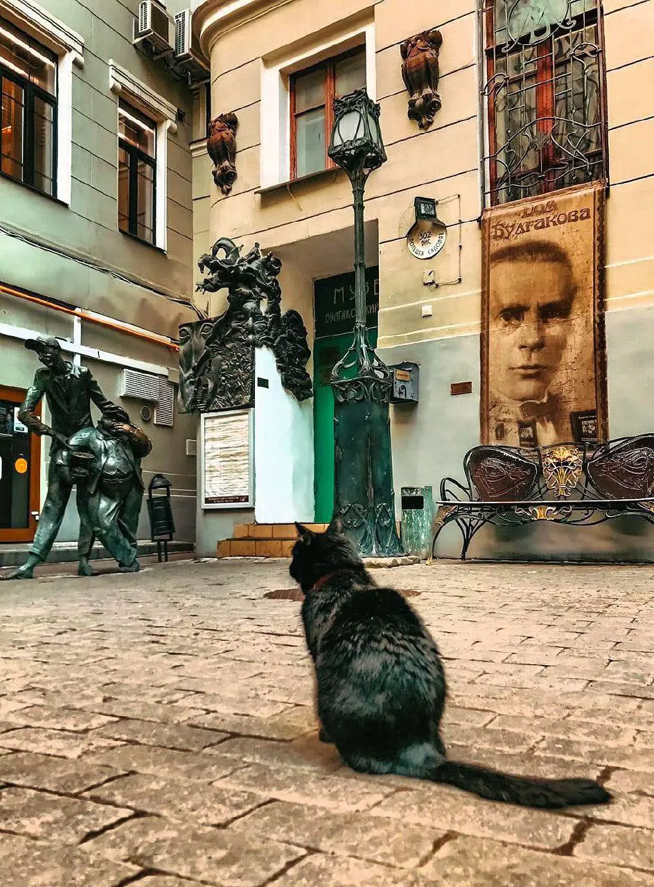 Разбираем билеты в один из самых любимых музеев москвичей - регистрация в дом-музей М.А. Булгакова