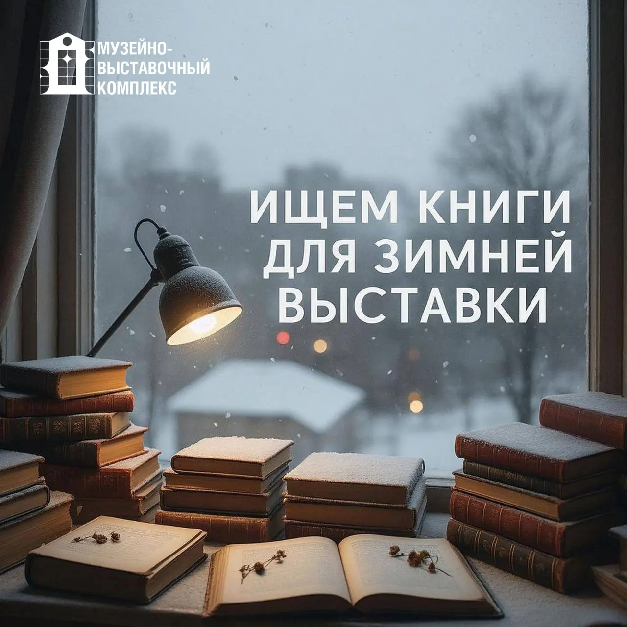 Зимняя выставка: сбор книг для музея