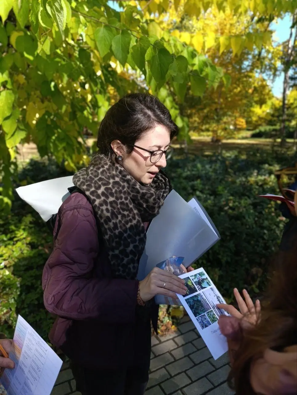 Ботанические прогулки: история формирования парков и местные растения