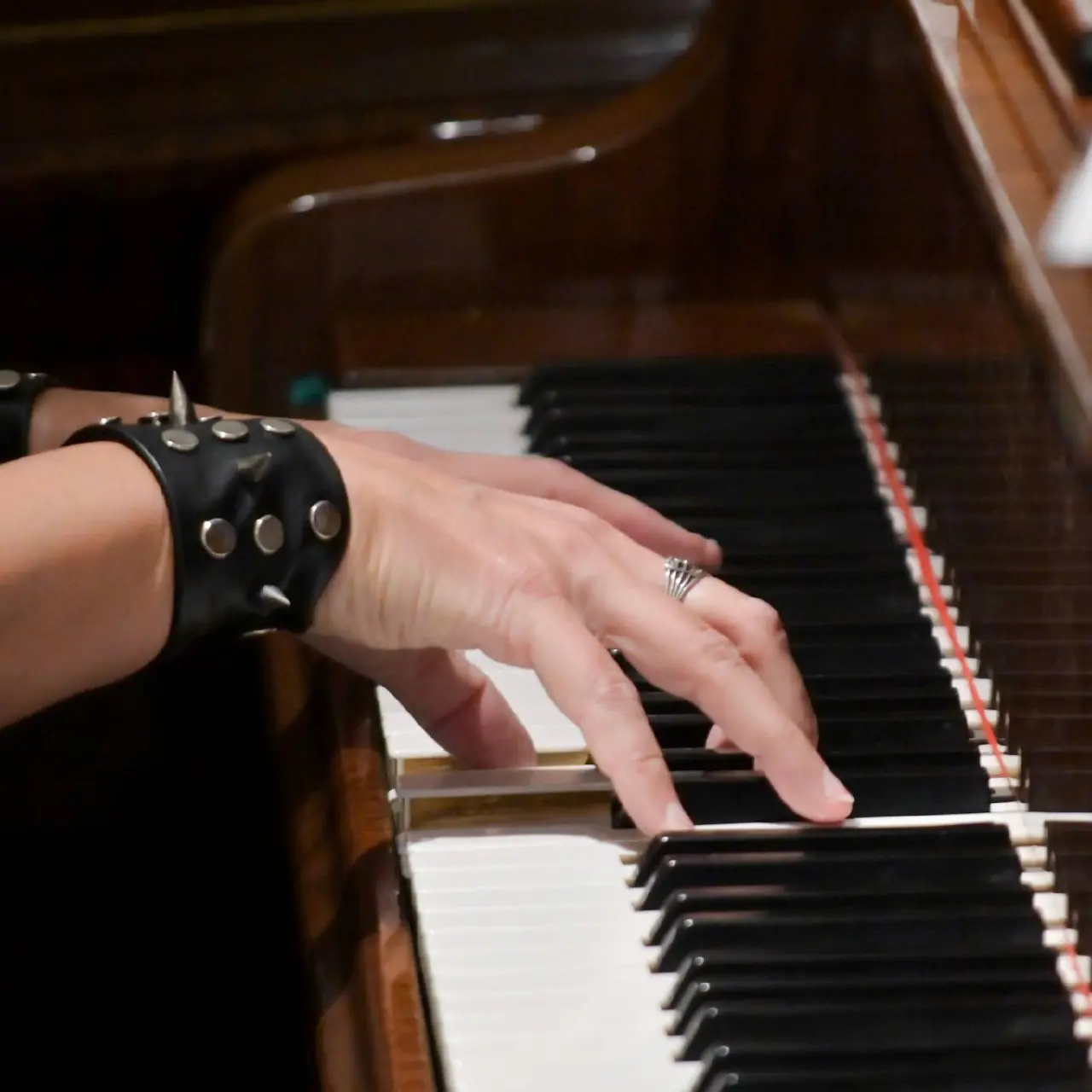 Литературно-музыкальный дуэт «ЛитречЕ» выступит в Доме искусств