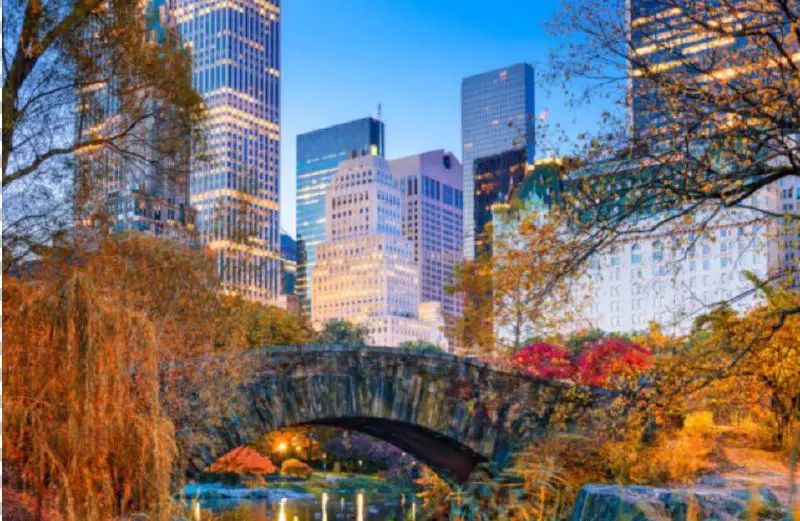 Концерты, праздники и не только: лучшие события ноября в Нью-Йорке