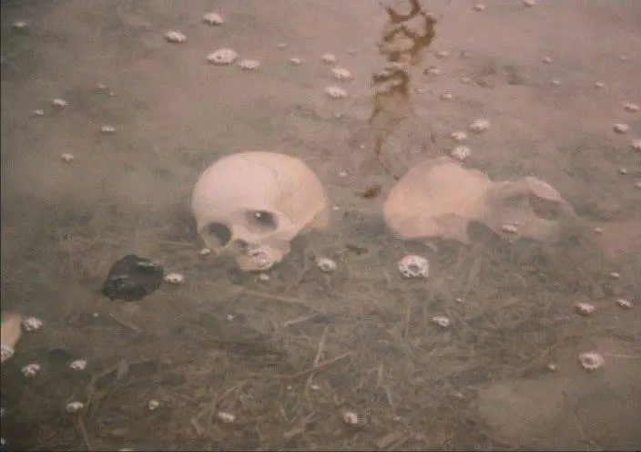 Константин Сергеевич Лопушанский — дебютный короткометражный метр «Соло» (1980) и встреча с автором