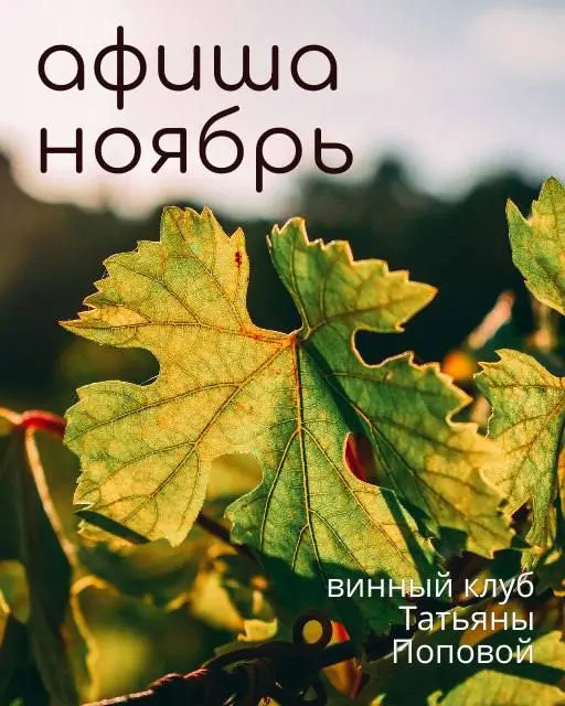 Моё сердце за мерло