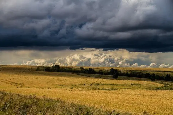 Глубина кадра. Выставка по итогам Краевого конкурса художественной фотографии