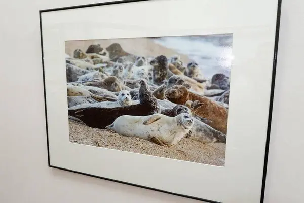 Фотовыставка "Каспийский репортаж"