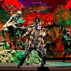 Маша и Витя против "Диких Гитар"