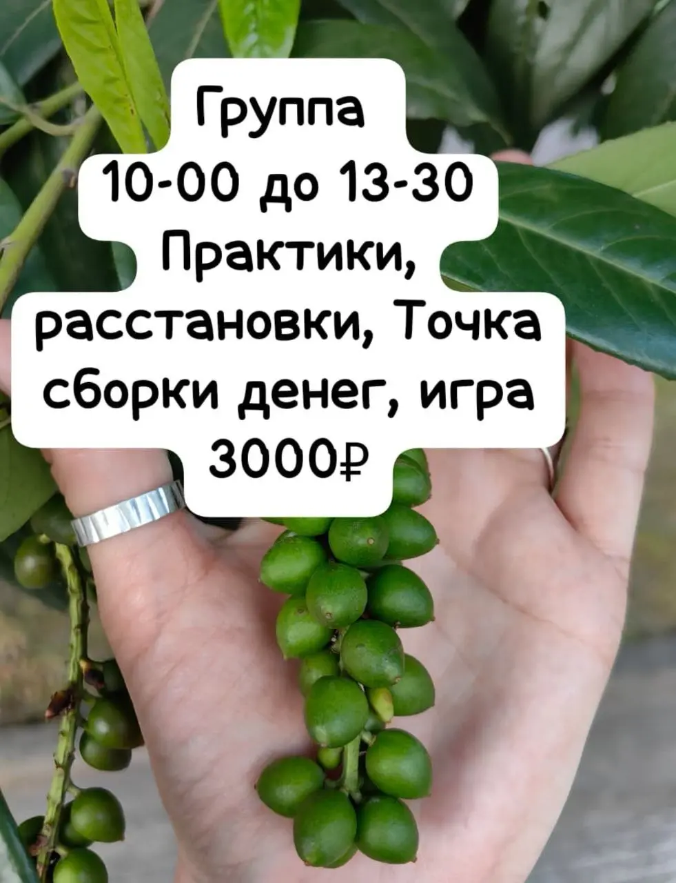 Сборка целостности и Масштаб: внутренний ресурс