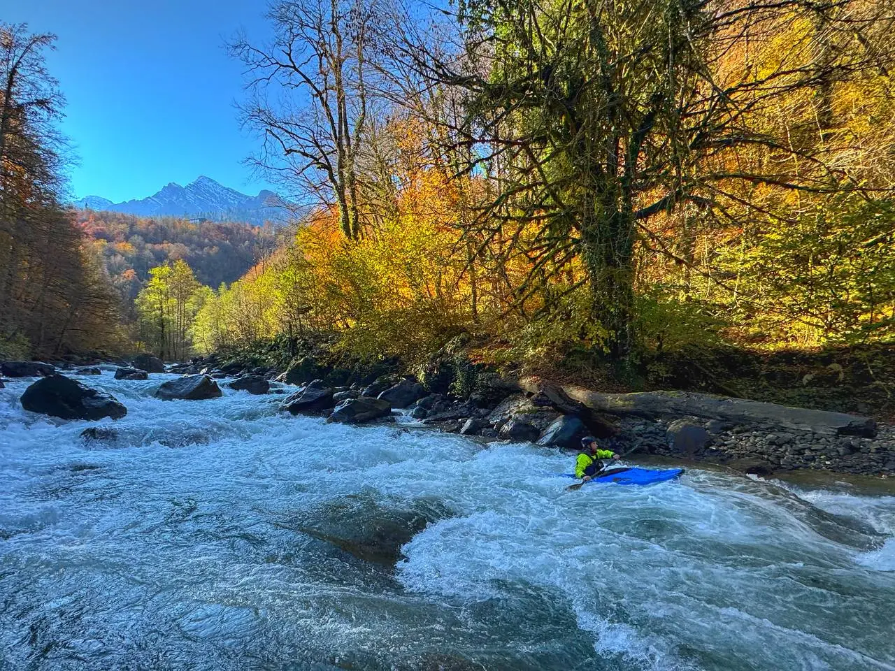 Свирейс (СвиноРэйс) на Мзымте