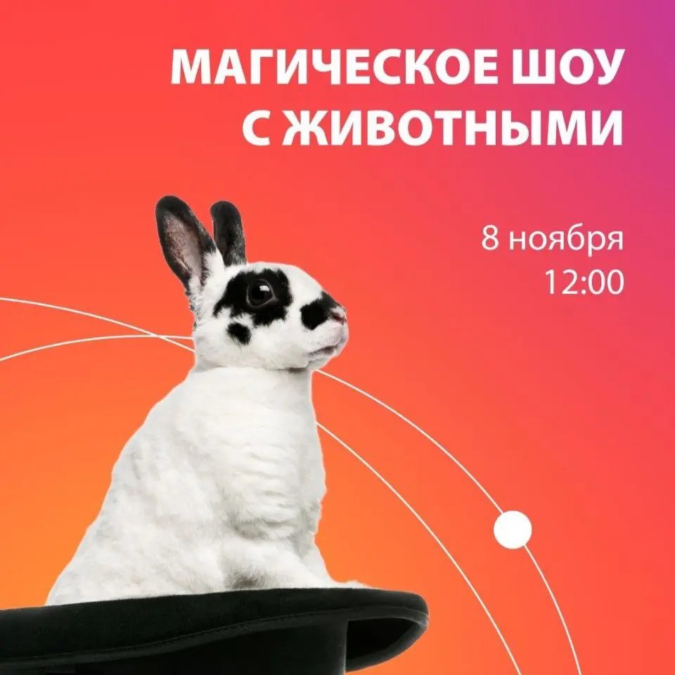 Магическое шоу с животными