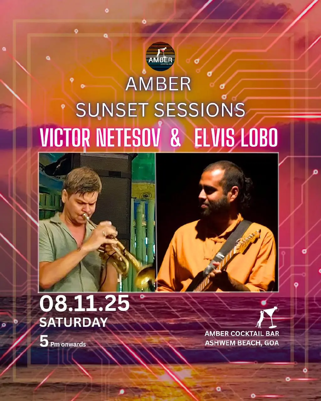 Концерт на пляже Ашвем, Гоа