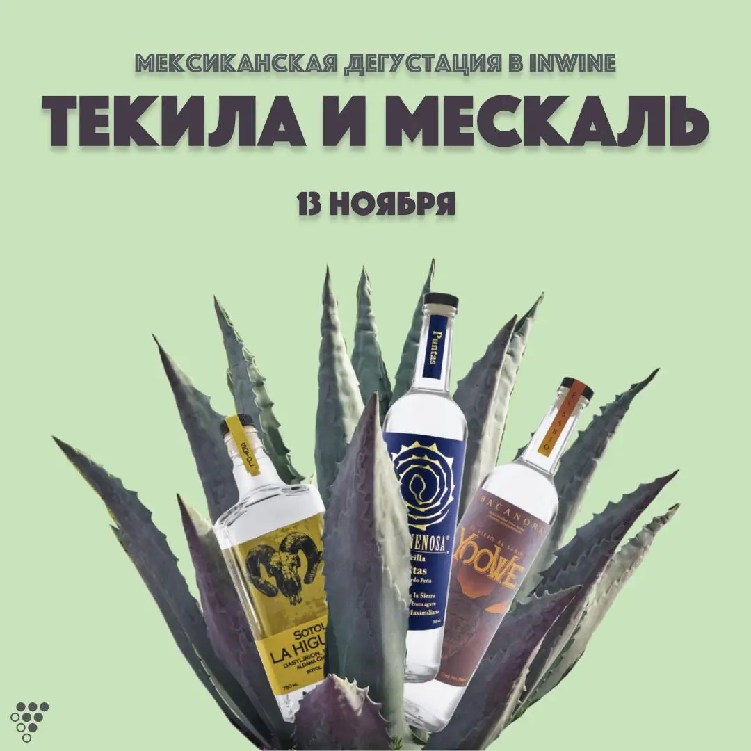  Mexican Distillery Tasting