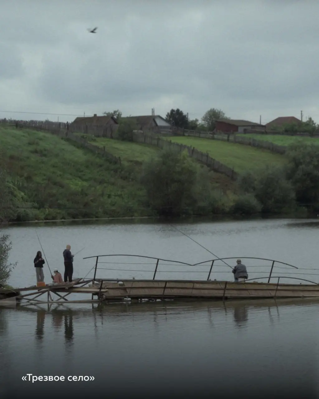 Beat Film Festival в Краснодаре