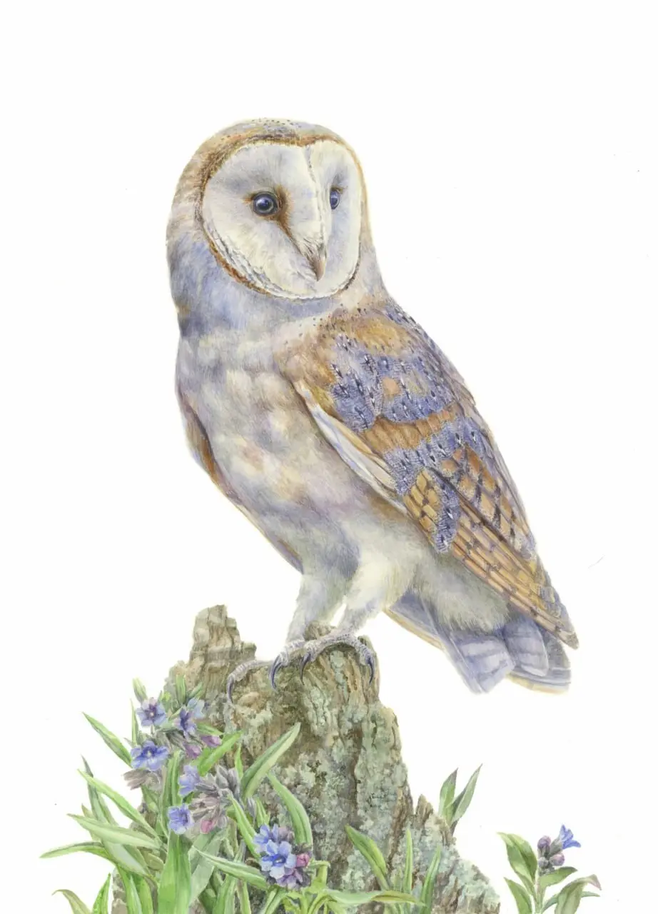 Бесплатная выставка  «Исчезающая красота России»