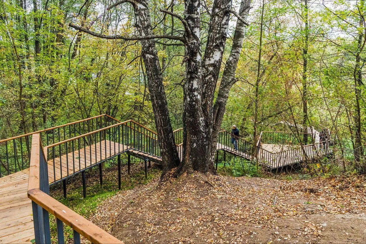 Друзья, завтра бежим лонг с Сержем!