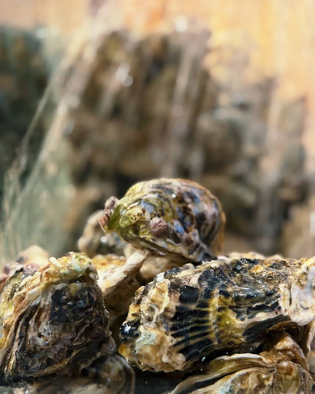 Винный фестиваль в картинках