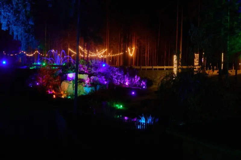 Всемирный день без Wi-Fi на Охта Парке (вечерний период погружения)