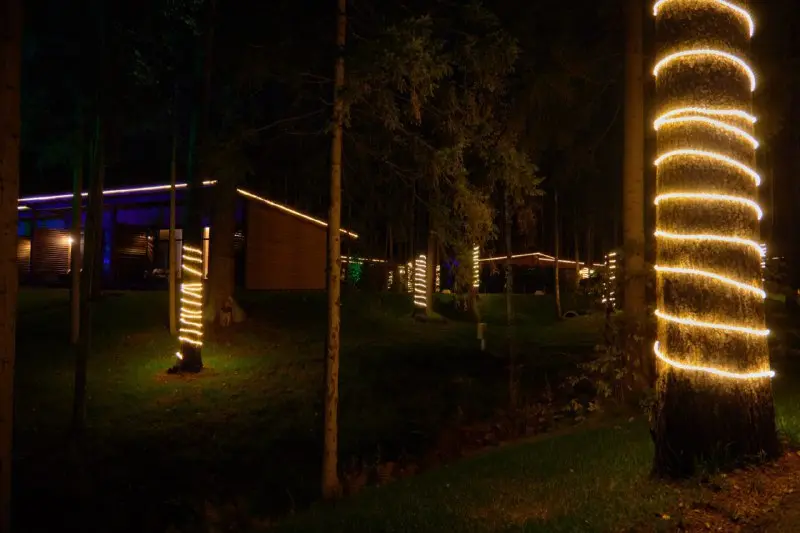 Всемирный день без Wi-Fi на Охта Парке (вечерний период погружения)