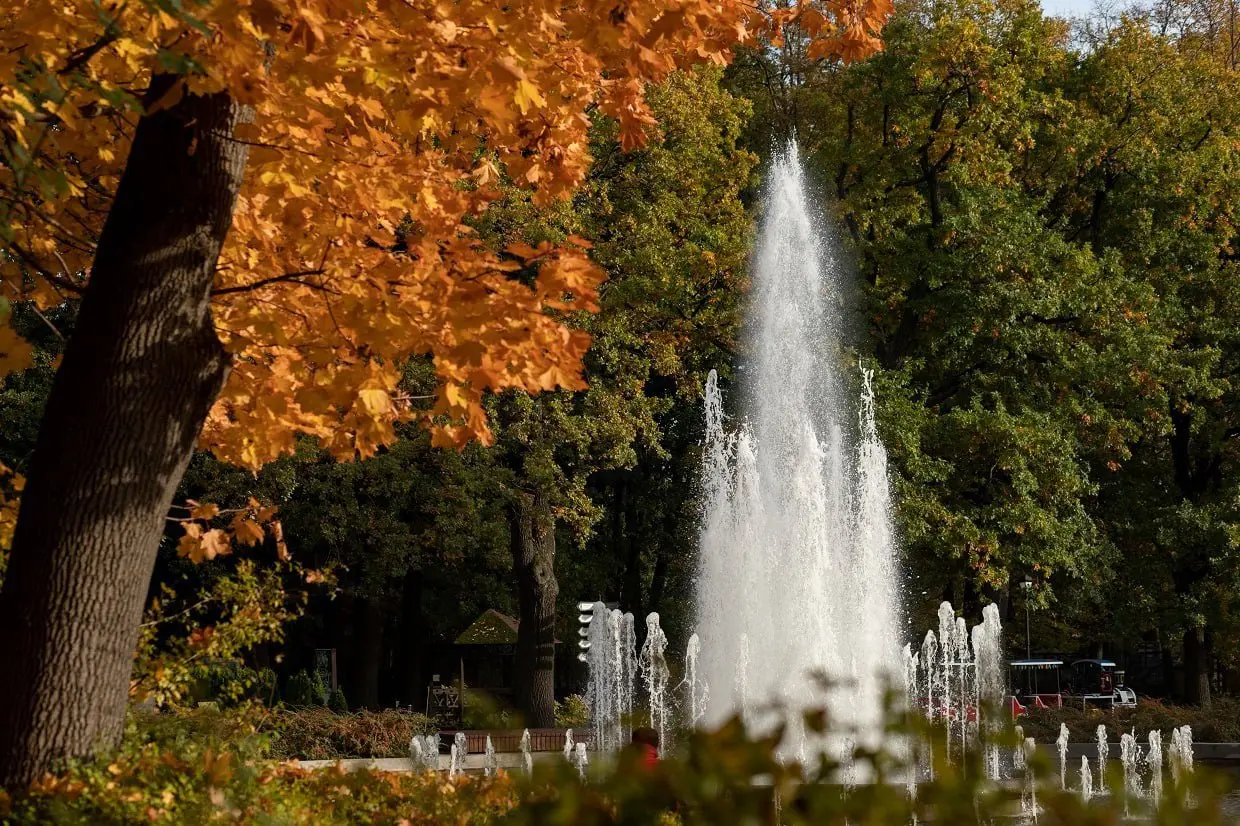 Авторская ботаническая экскурсия "Не только зоо, но и парк"