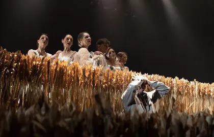 Калина красная