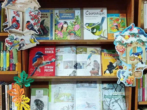 Эко-обзор "Синицы-озорницы и другие птицы"