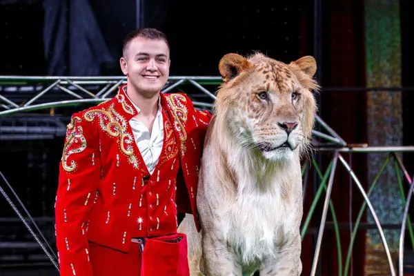 Цирк-шапито Максимус — Белые тигры Орландо