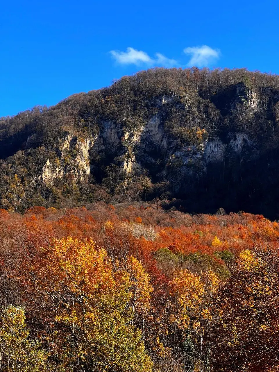 Осень в Гуамском ущелье