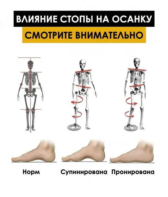 Семинар «Стопа» – влияние стопы на осанку