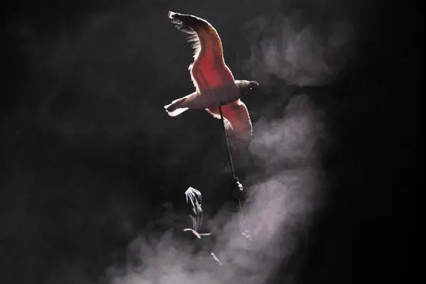 Спектакль "Чайка"