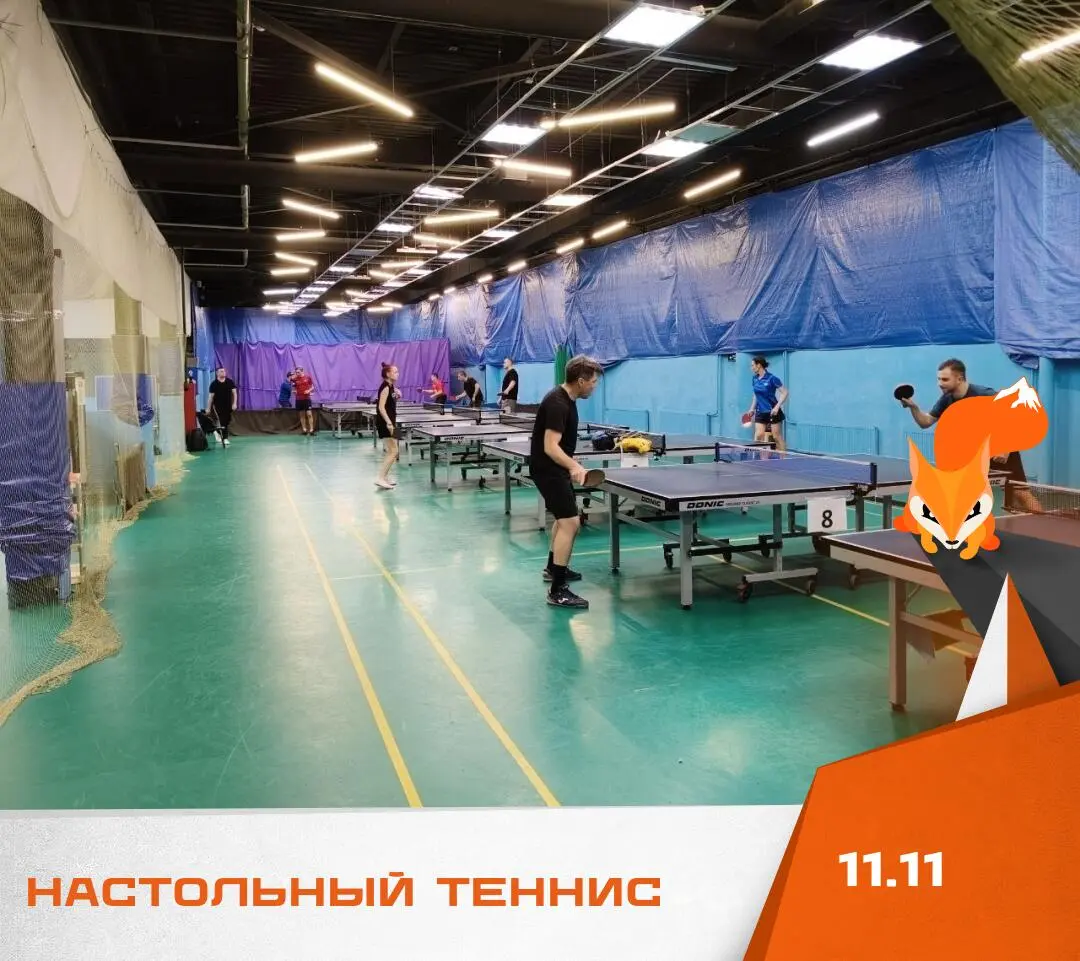 Настольный теннис