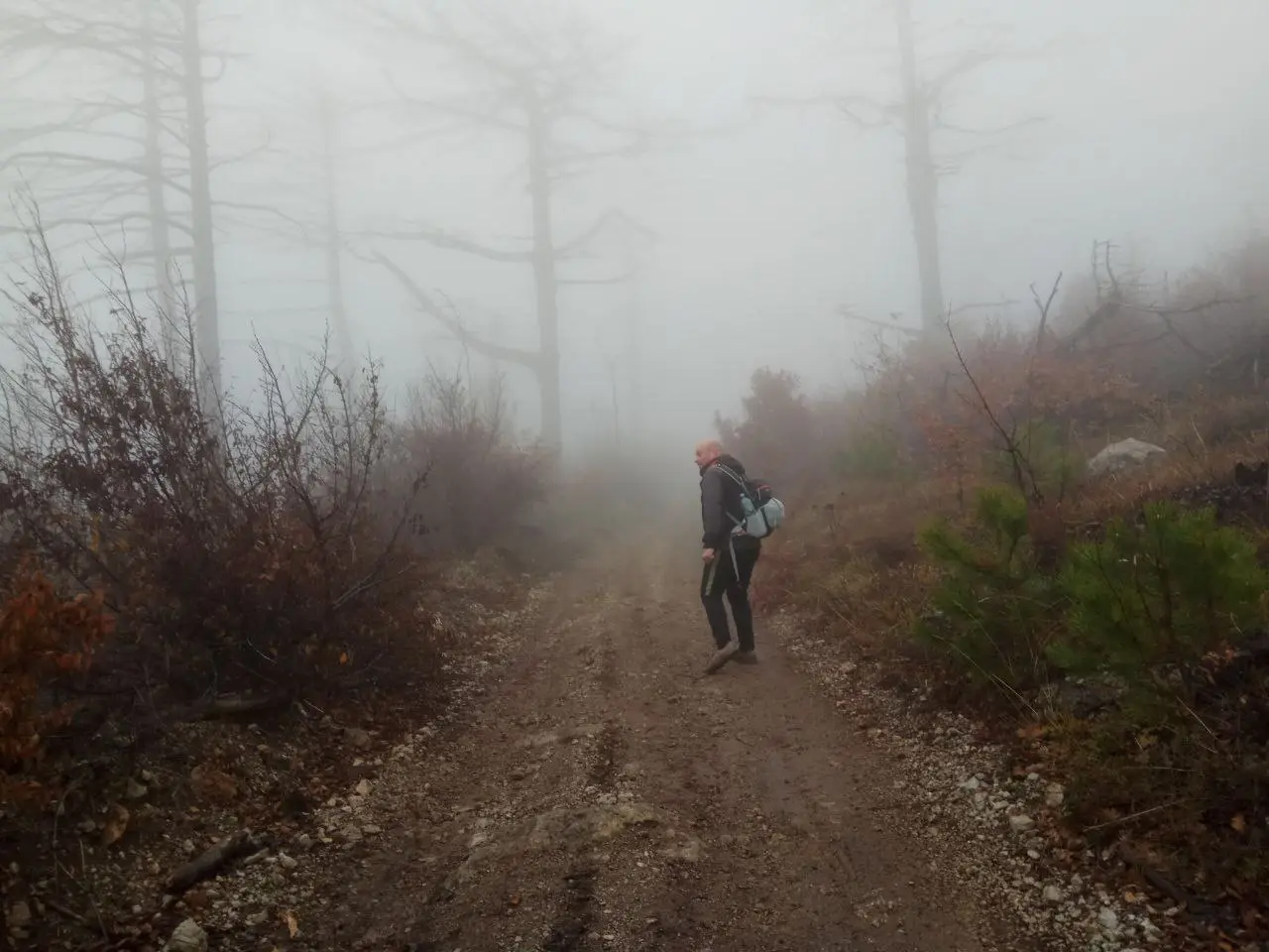 Скороходы 15 Ноября в 9:00