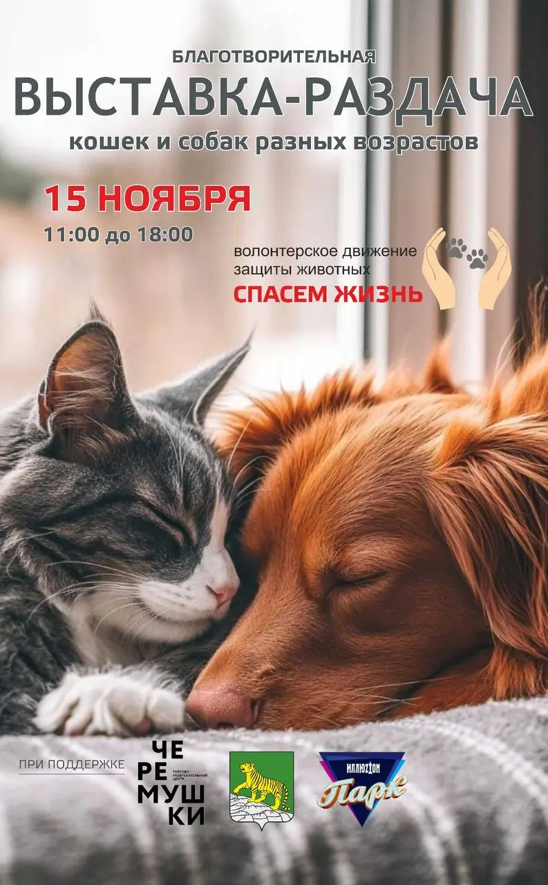 Благотворительная выставка-раздача животных во Владивостоке