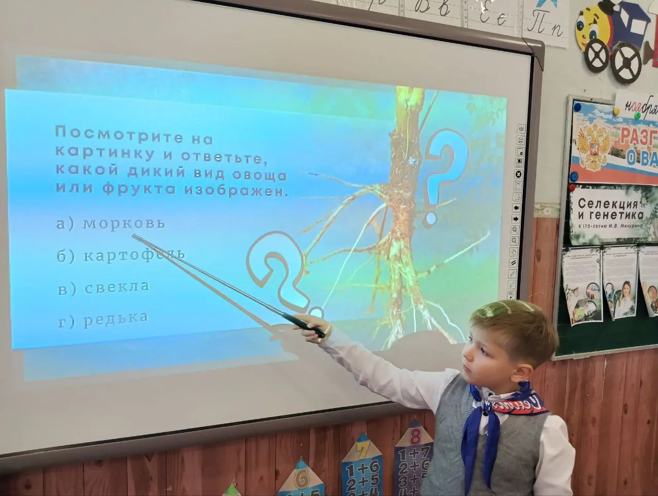 Урок по селекции и генетике растений в школе