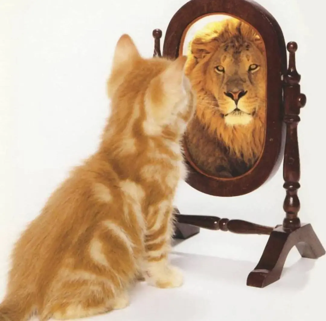 Сияющая Я — марафон по самооценке и уверенности