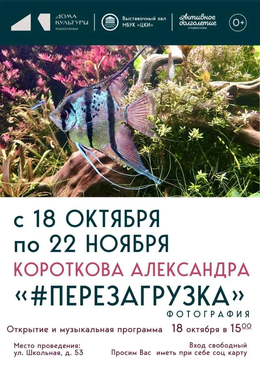 ЦЕНТР КУЛЬТУРЫ И ИСКУСТВ города Электроугли