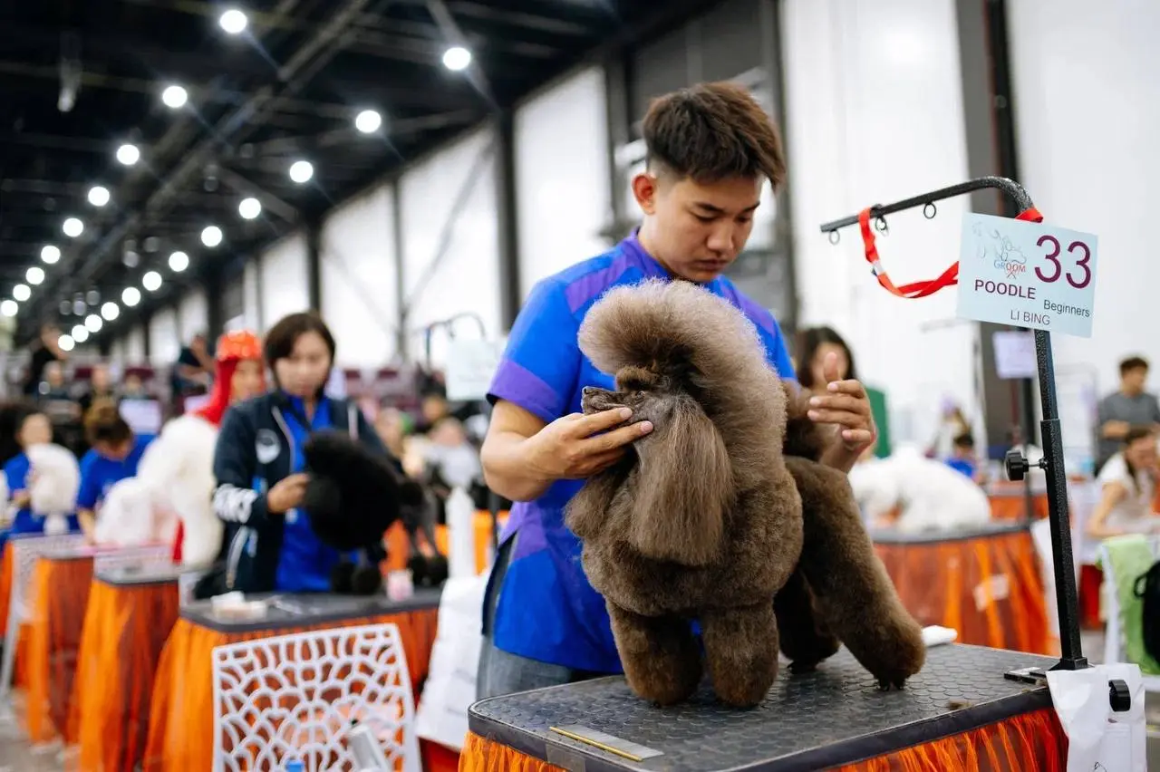 Выставка домашних животных