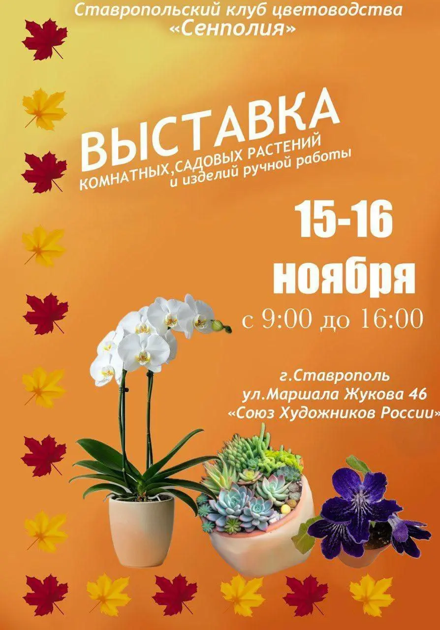 Выставка комнатных и садовых растений, а также изделий ручной работы