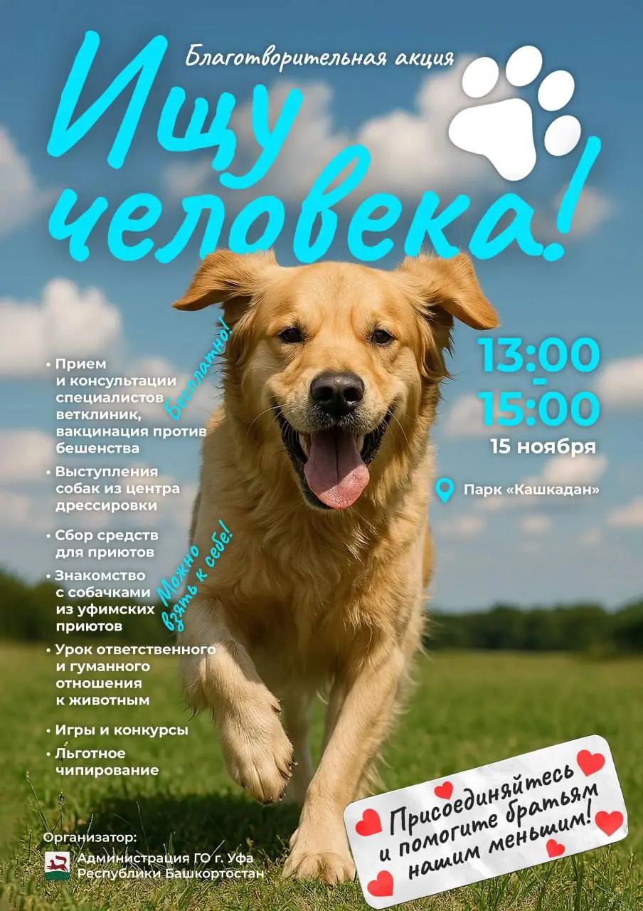 Ищу человека